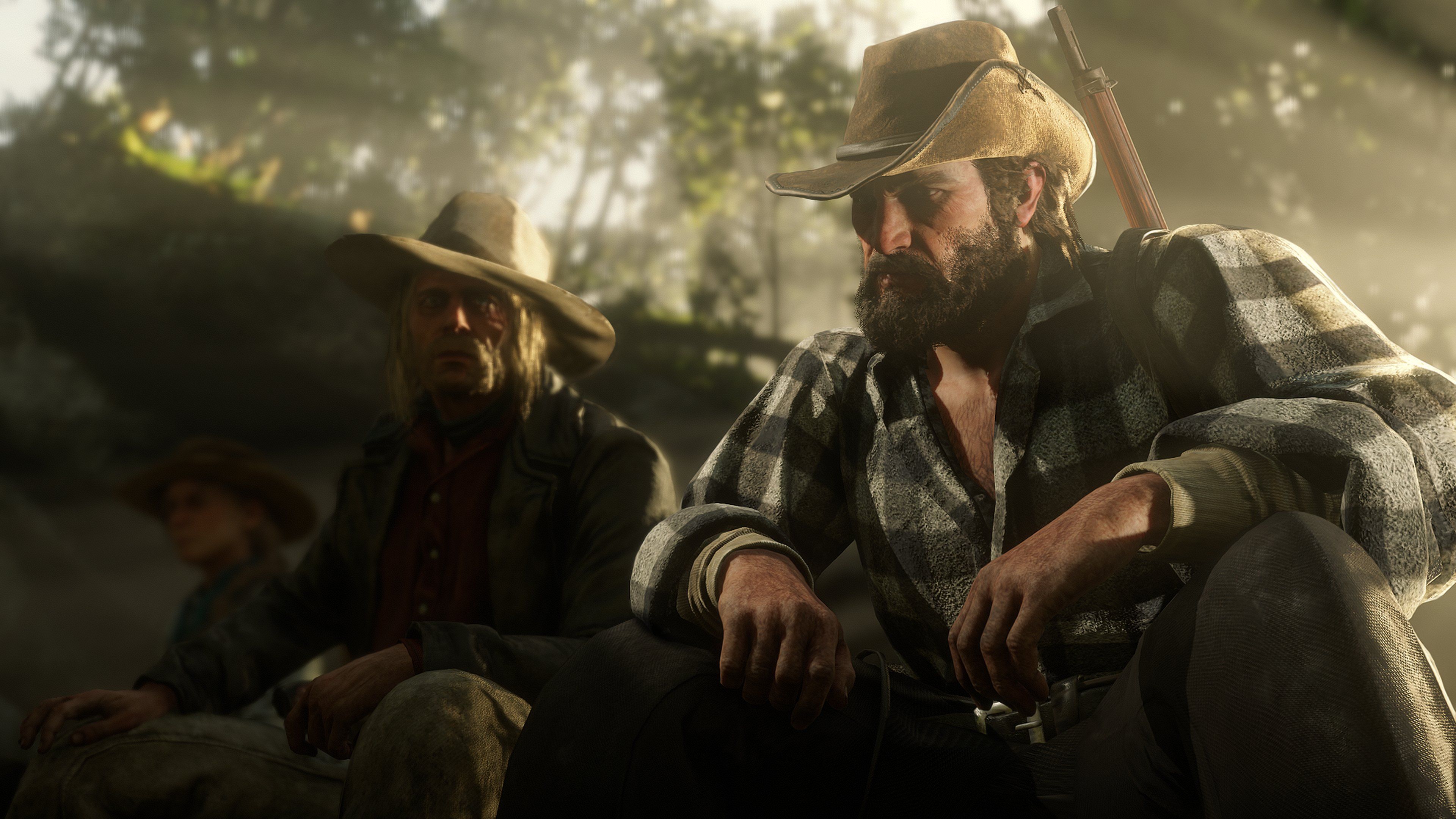 RDR2 17