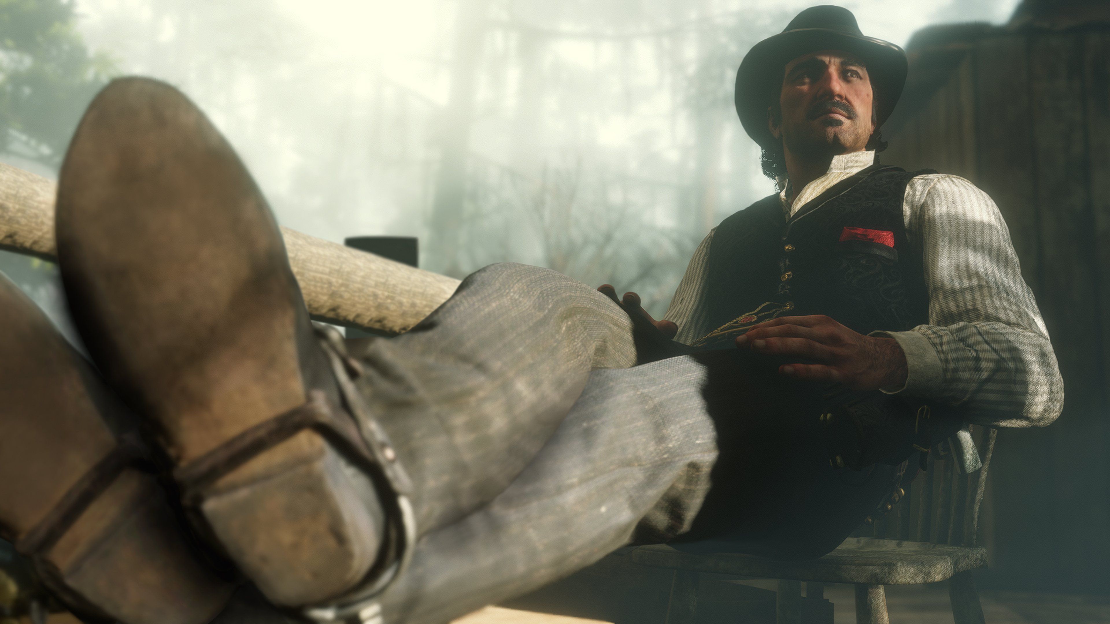 RDR2 18