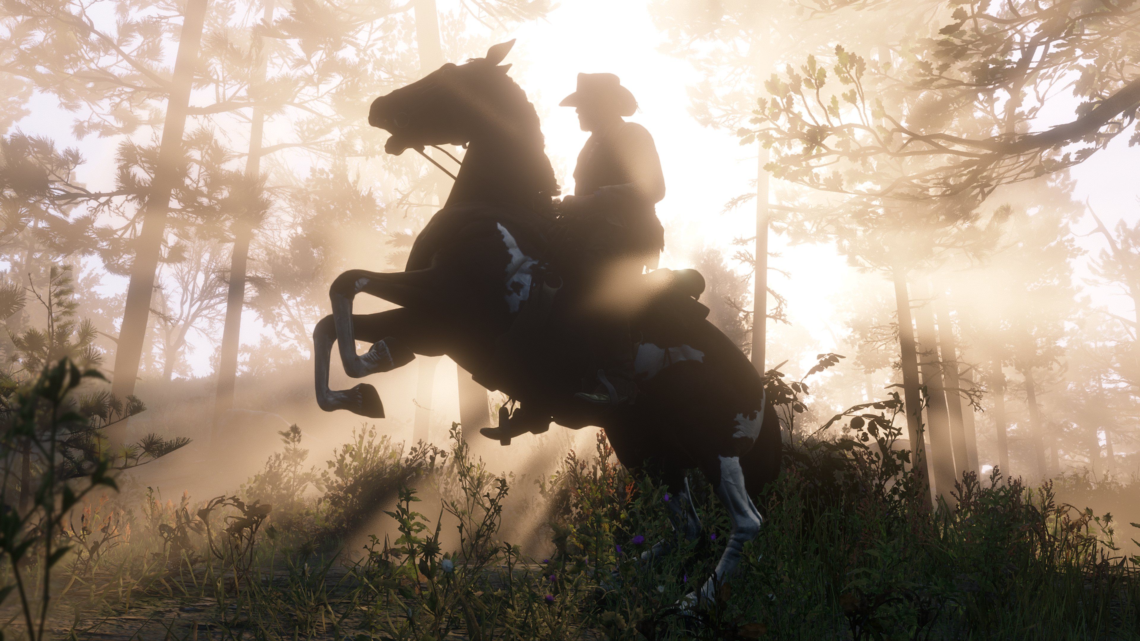 RDR2 19