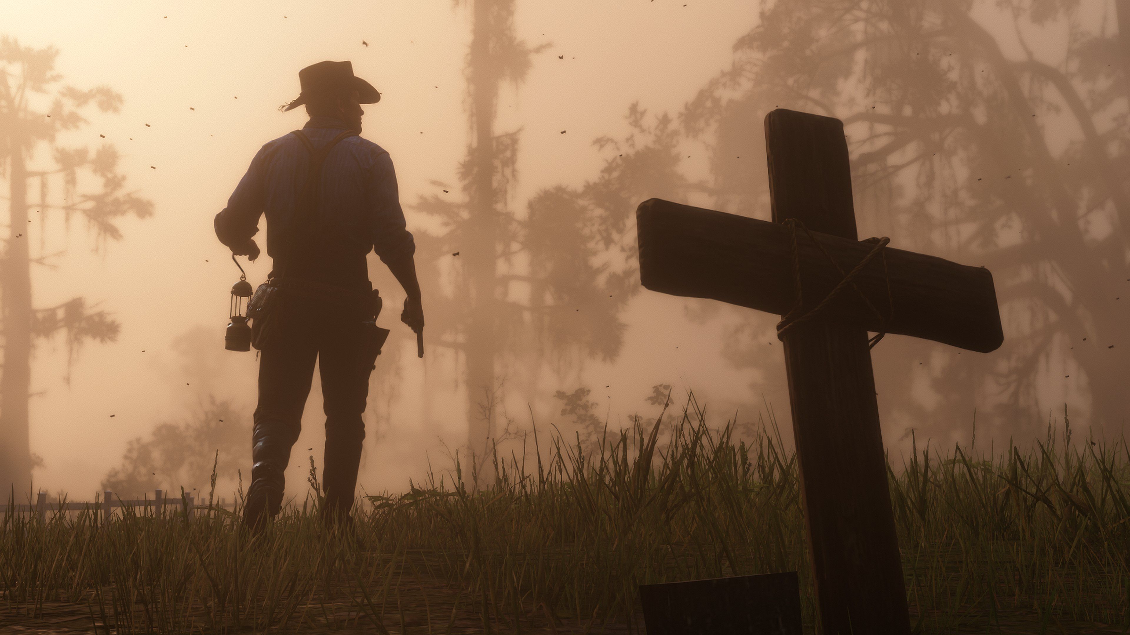 RDR2 22