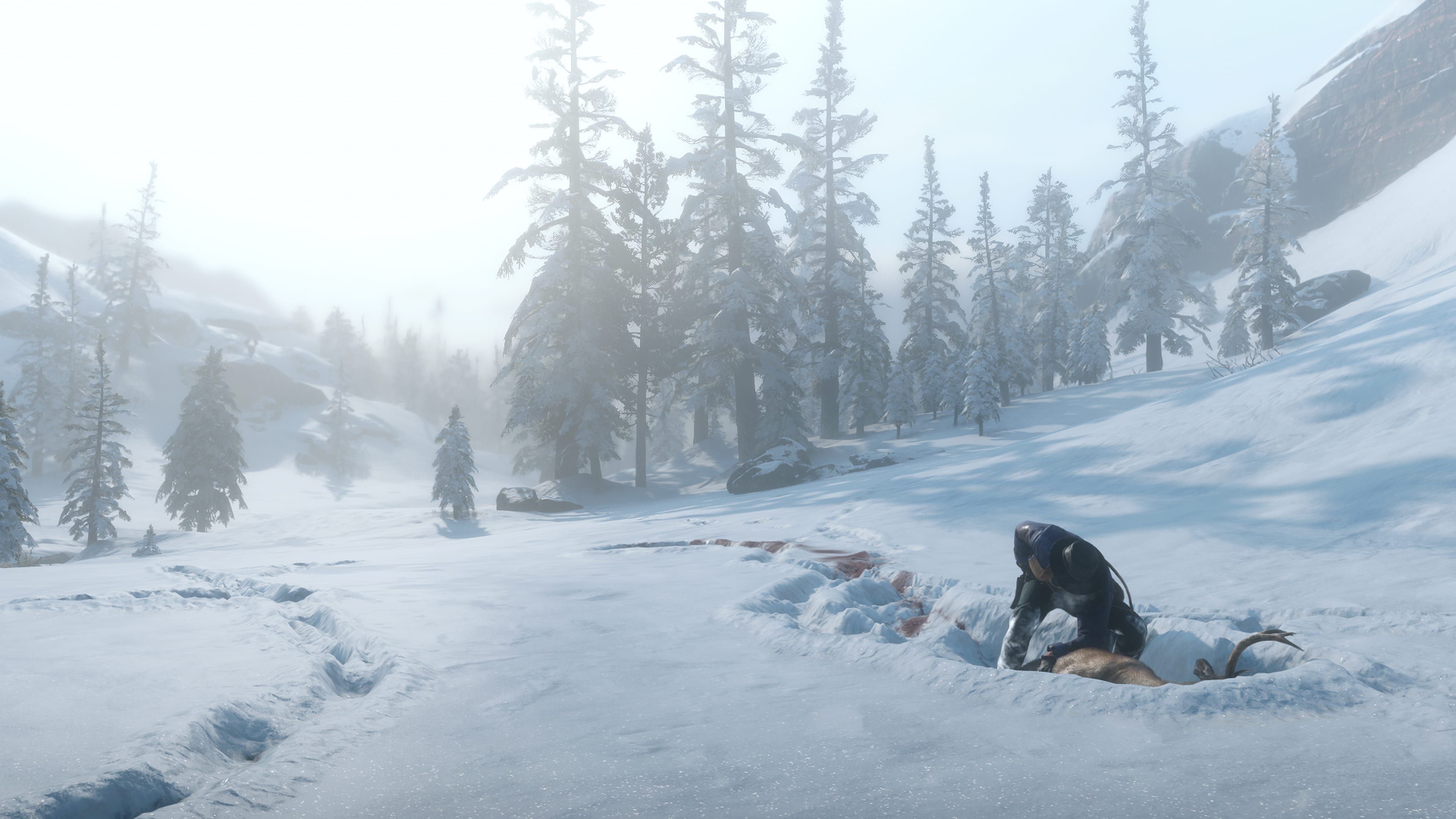 RDR2 Animals 06