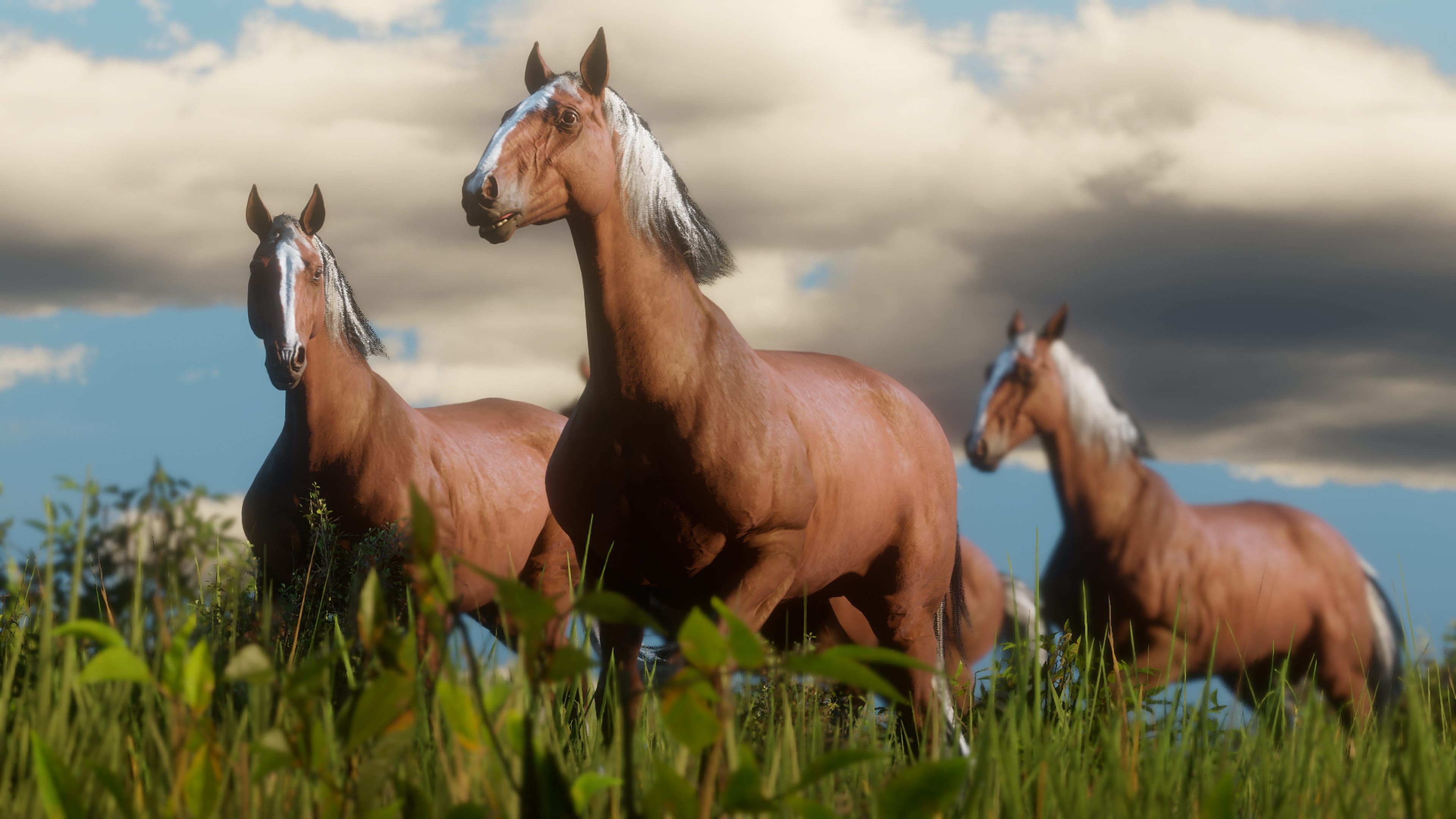 RDR2 Animals 07