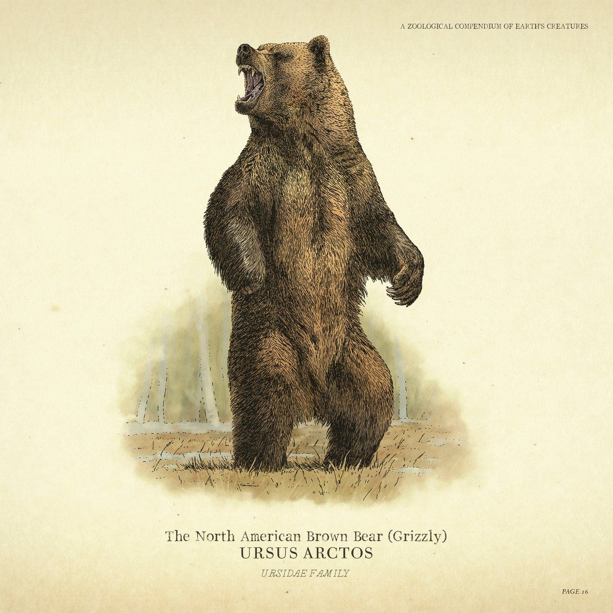 RDR2 Animals 12