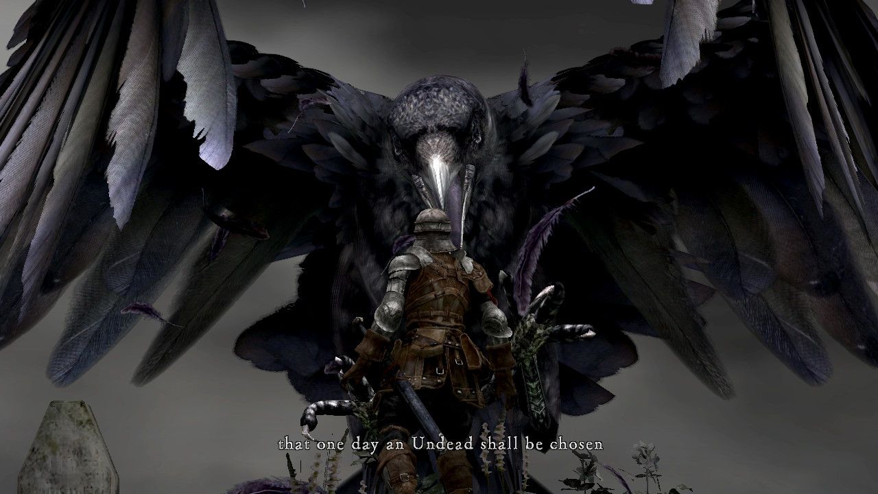 Dark Souls on the Go   Nintendo Switch Review