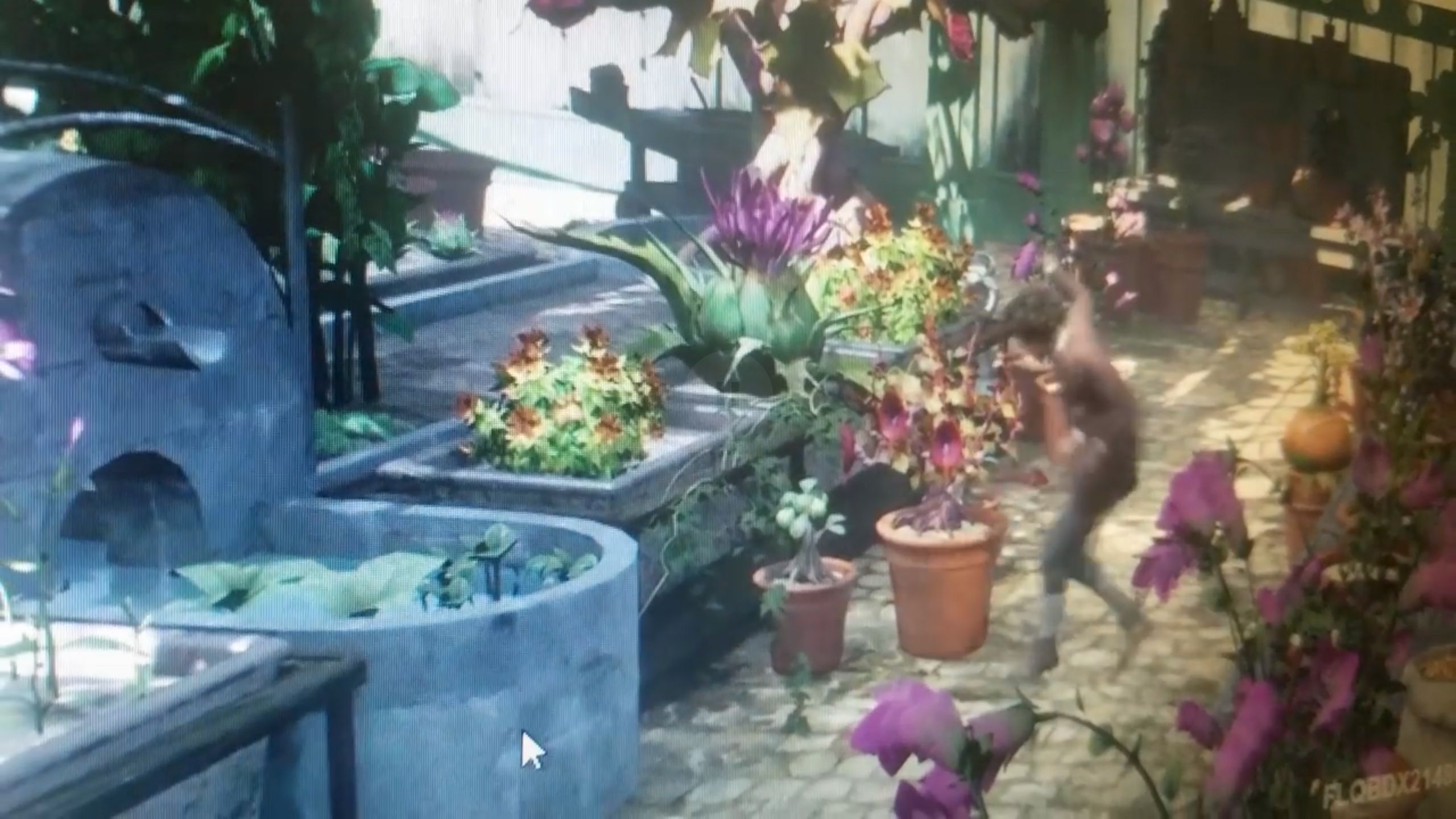 Rumour: Harry Potter RPG Footage Leaked?