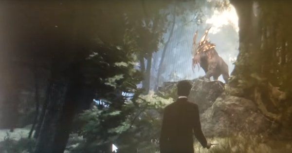 Rumour: Harry Potter RPG Footage Leaked?