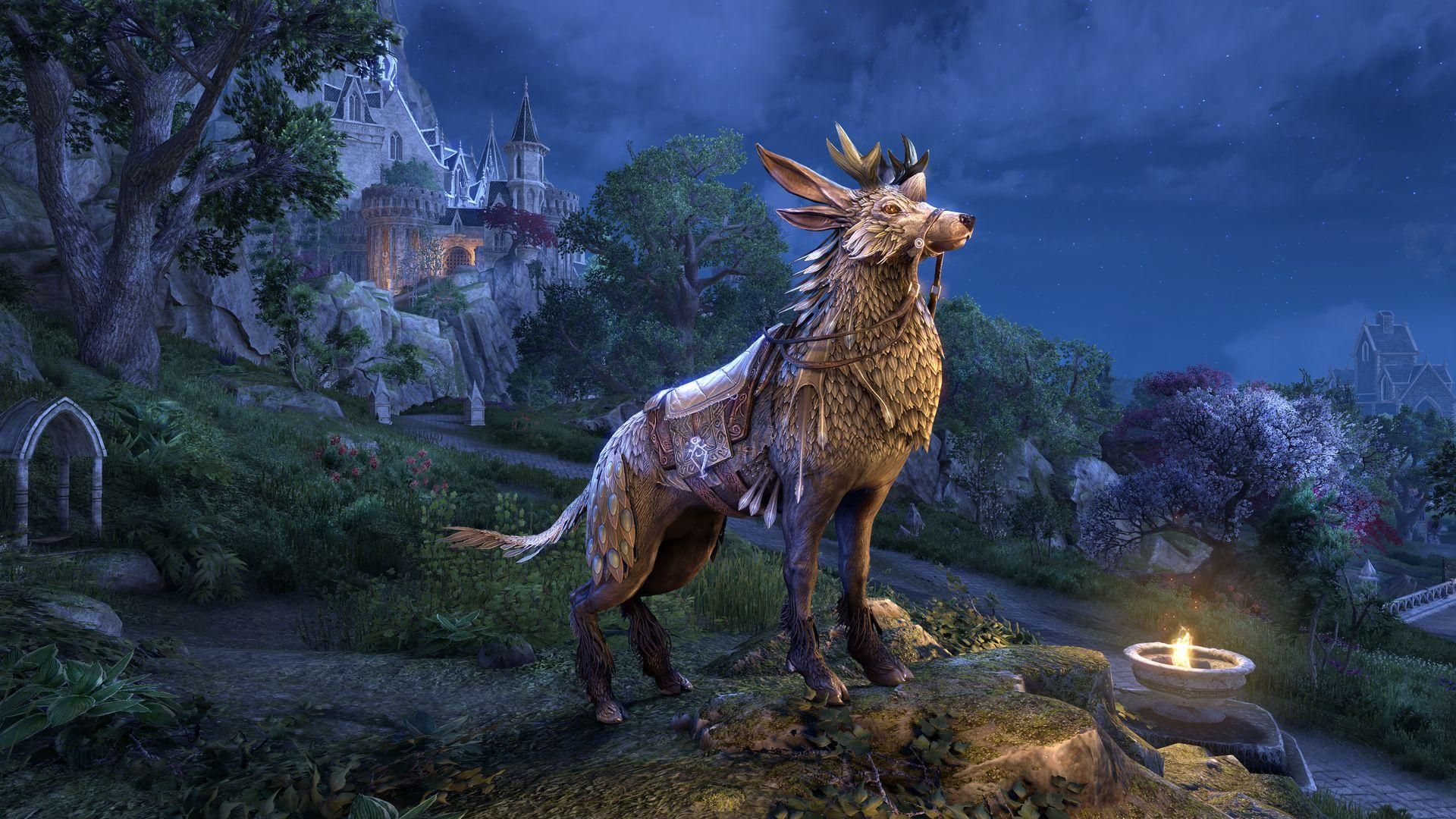 ESO End of Year Events