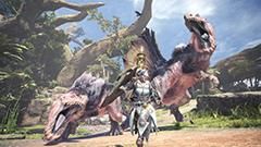 Monster Hunter World 5 Weeks of Festivals 2019
