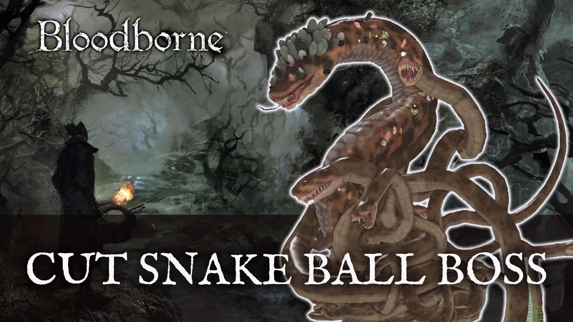 Rumour: Is Sony Teasing a Bloodborne Remaster?