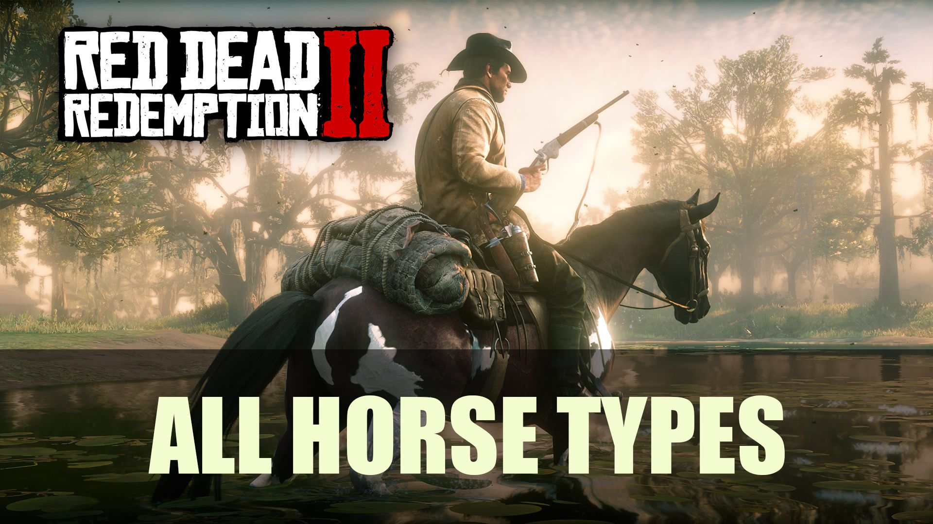 Red Dead Redemption 2 All Horse Types Guide 01