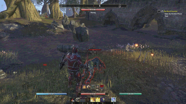 ESO Set Guide: Steadfast Hero   Permanent Protection