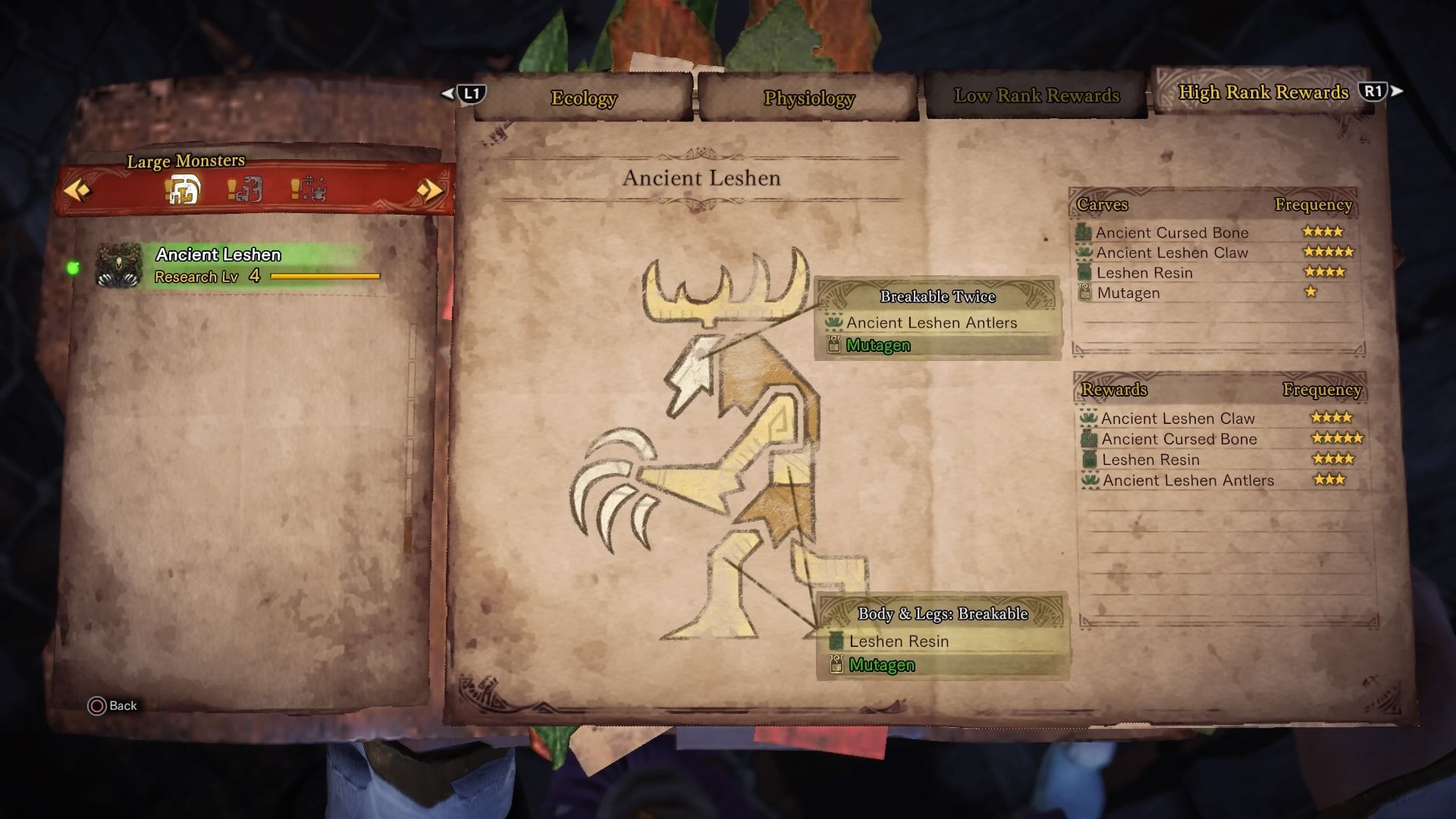 Ancient Leshen drops