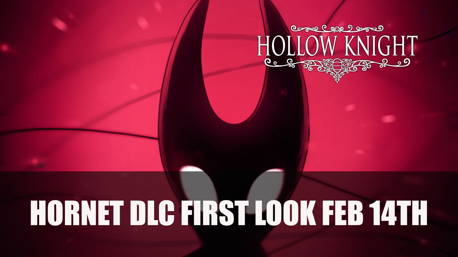 Hollow Knight Hornet DLC first look Feb 14th