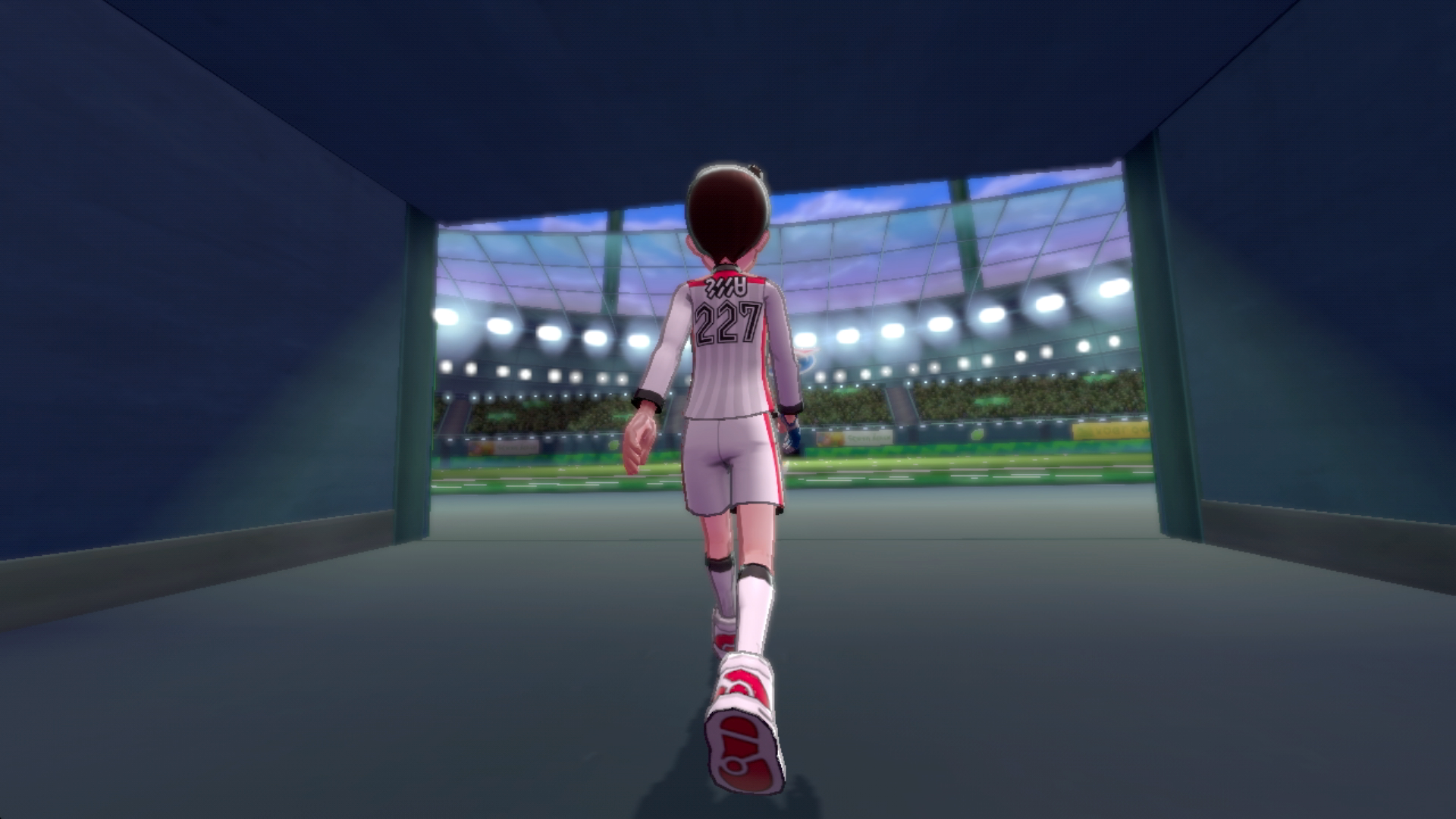 Pokemon Sword and Shield 09