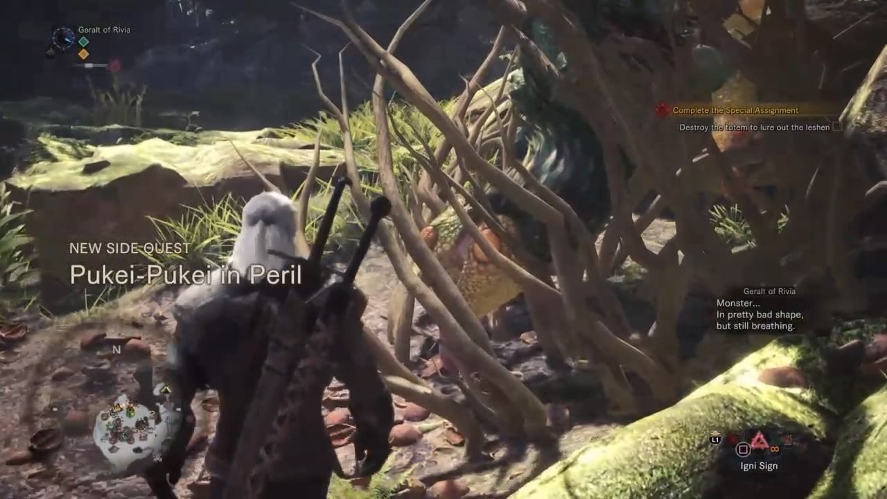 Monster Hunter World x The Witcher Contract: Trouble in the Ancient Forest Complete Guide