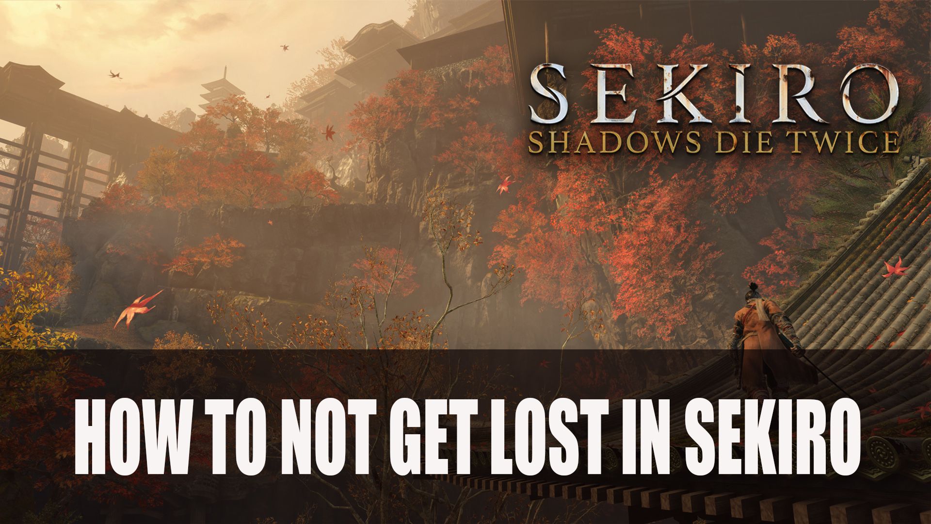 How to Not Get Lost in Sekiro