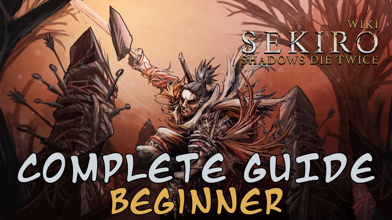 beginner-cover
