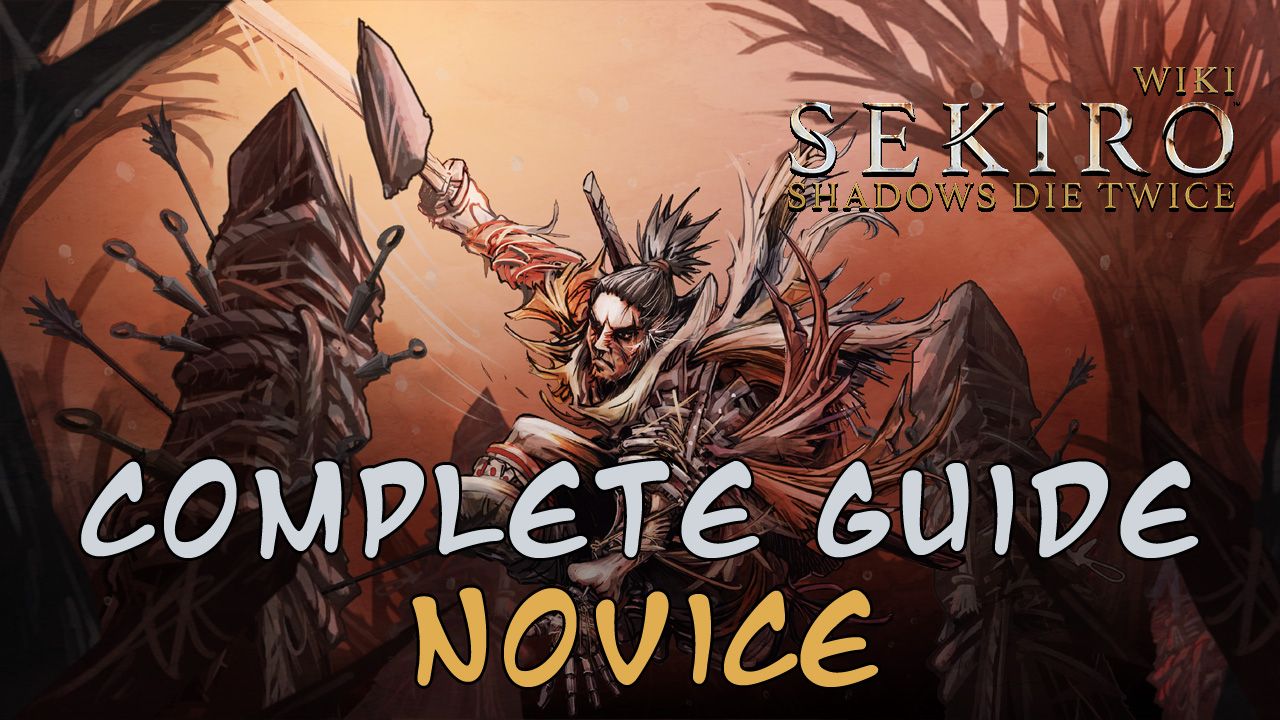novice
