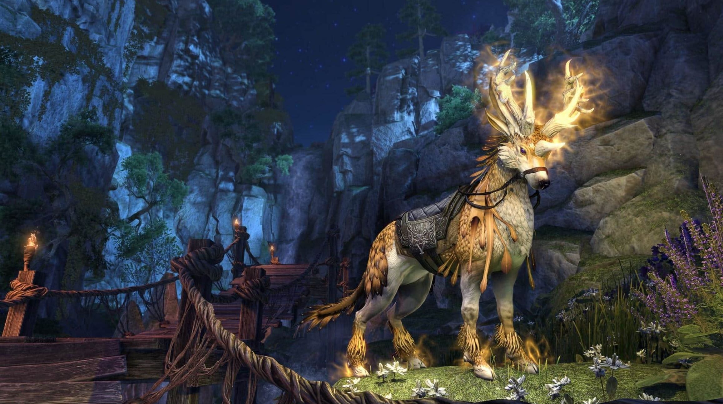 Elder Scrolls Online Celebrates Turning 5 Years Old with 5 Week Event