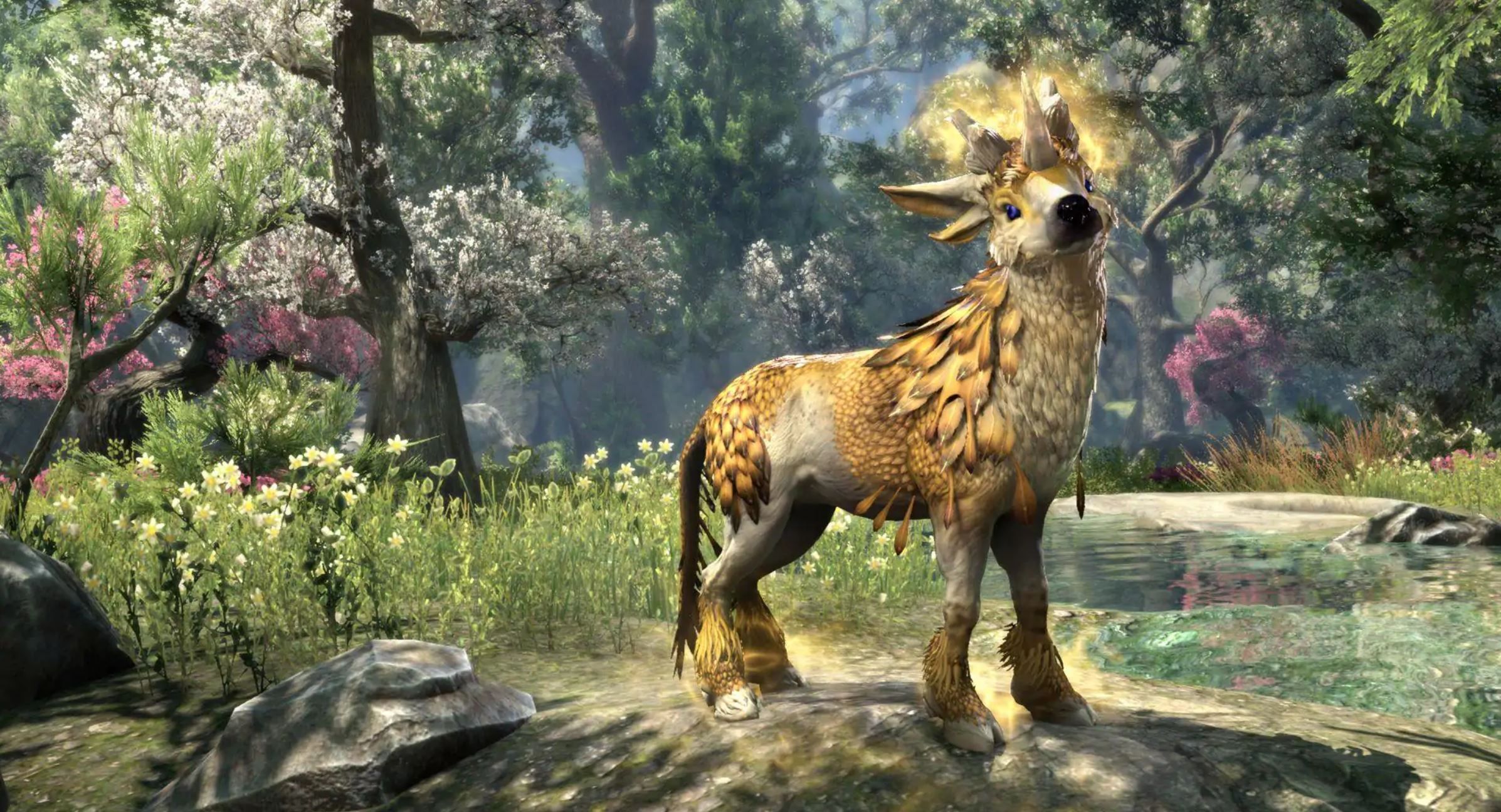 Elder Scrolls Online Celebrates Turning 5 Years Old with 5 Week Event