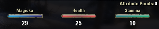 ESO Necromancer Maelstrom Arena Build