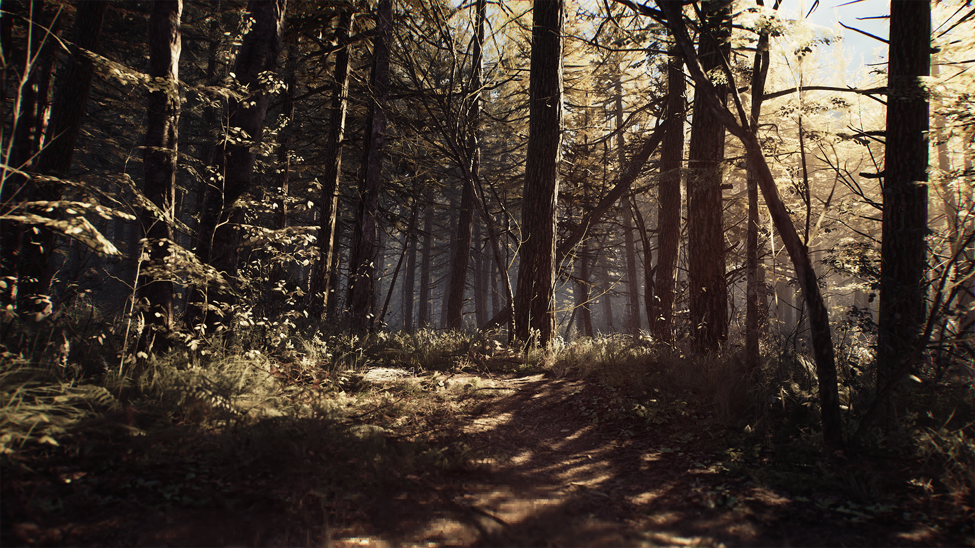 BlairWitch_E32019Sreenshot_forest