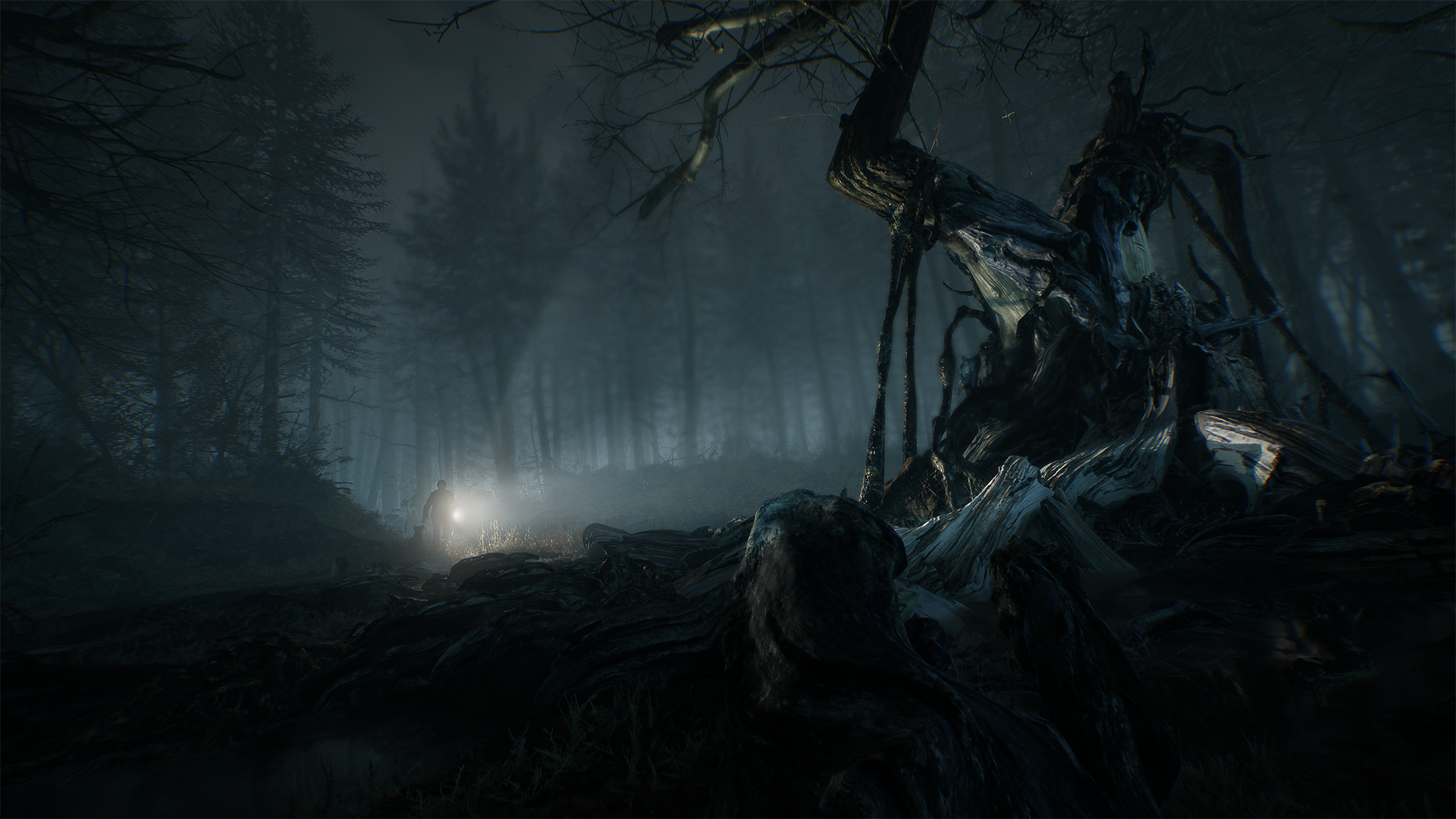 BlairWitch_E32019Sreenshot_white tree