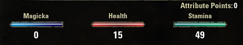 ESO PVE Necromancer Stamina DPS Build: Defiler