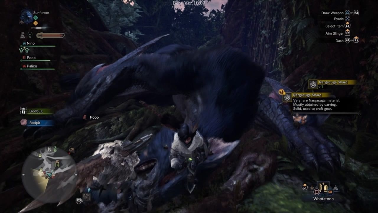 narga iceborne2