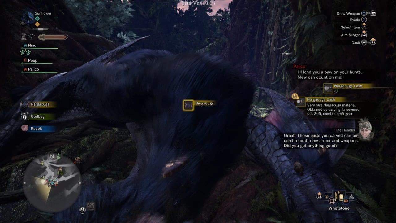 narga iceborne3