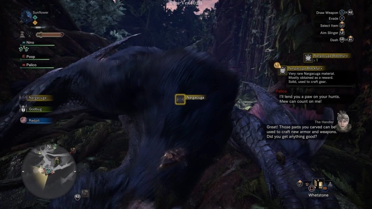 narga iceborne4
