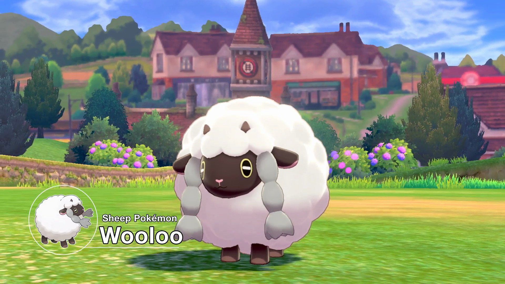 pokemon sword and shield wooloo