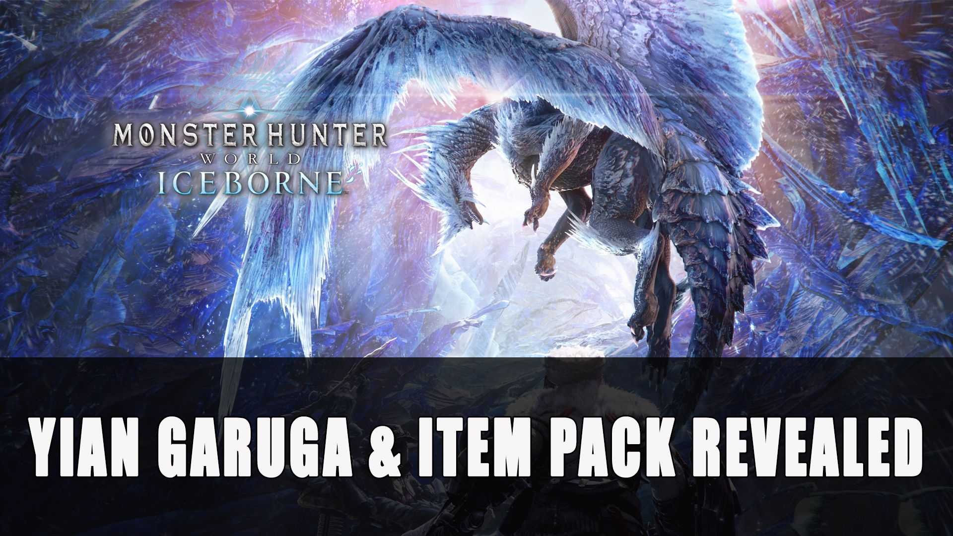 MHW Yian Garuga &amp; Item Pack revealed