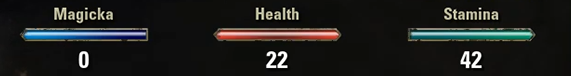 ESO PVE Dragonknight Stamina DPS Build