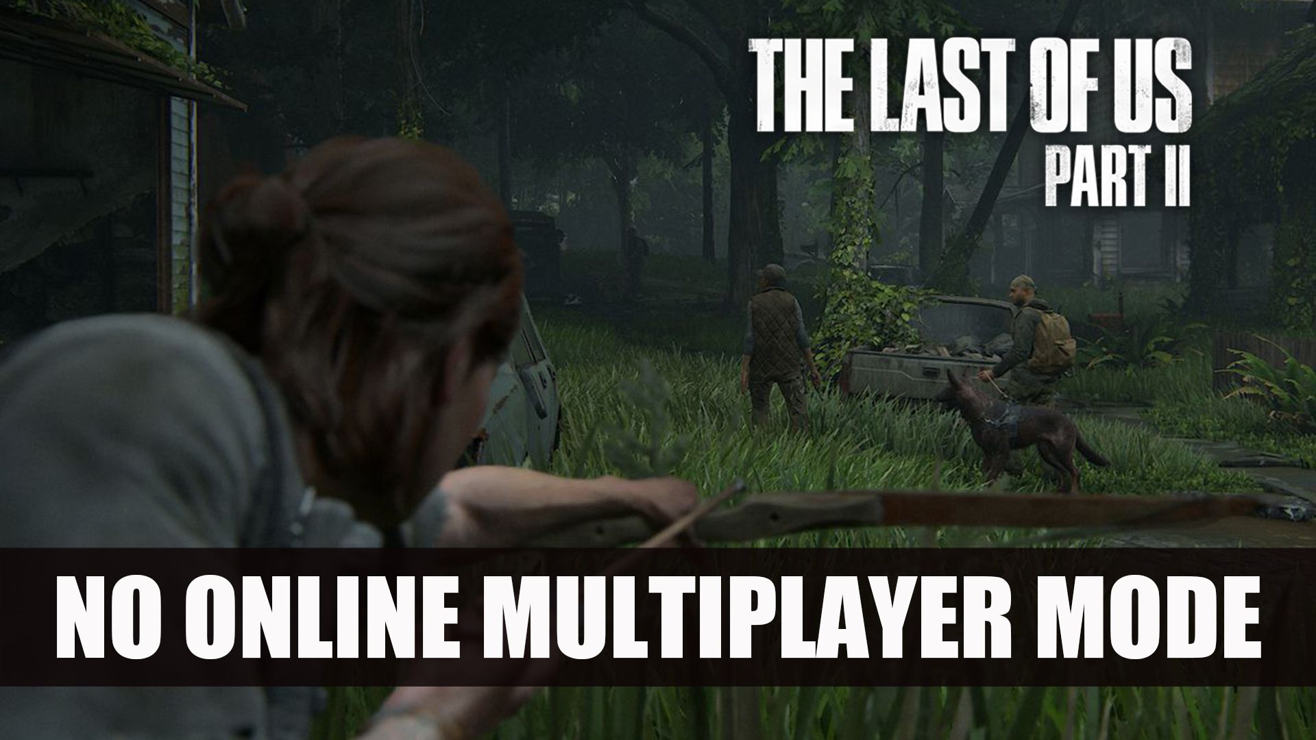 The Last of Us II No Online Multiplayer Mode
