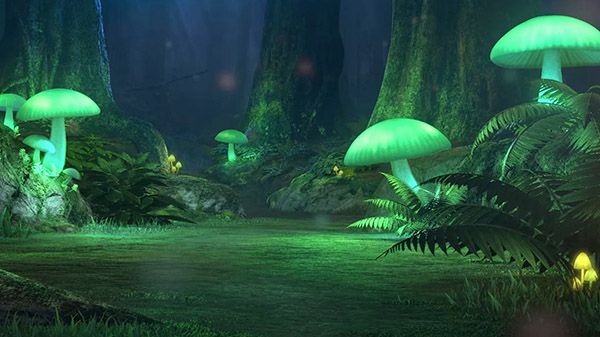 Pokemon Sword and Shield &lsquo;Pokemon Live Camera: Glimwood Tangle&rsquo; Live Stream set for October 4th