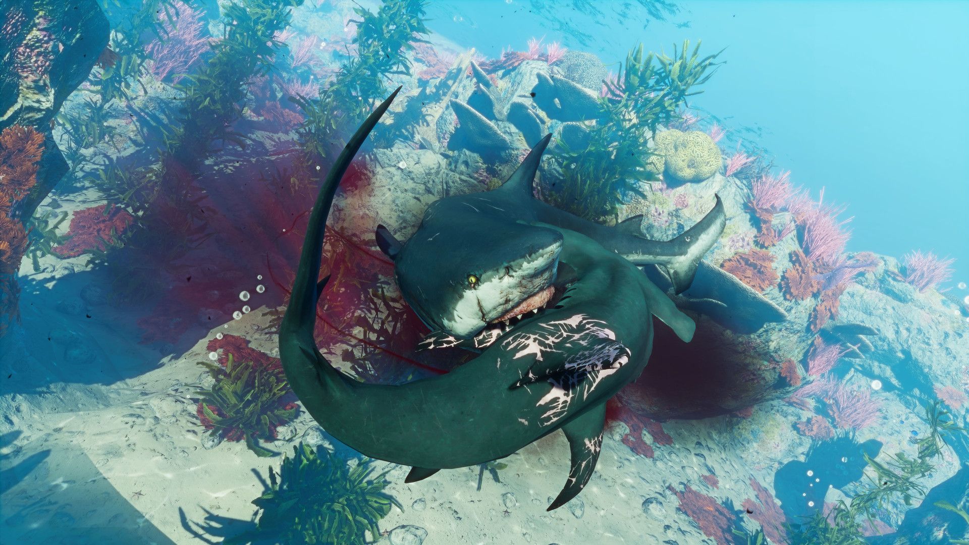Top 5 Upcoming RPGs Of May 2020 (Elder Scrolls Online Greymoor, Maneater, SAO Alicization Lycoris and More!)