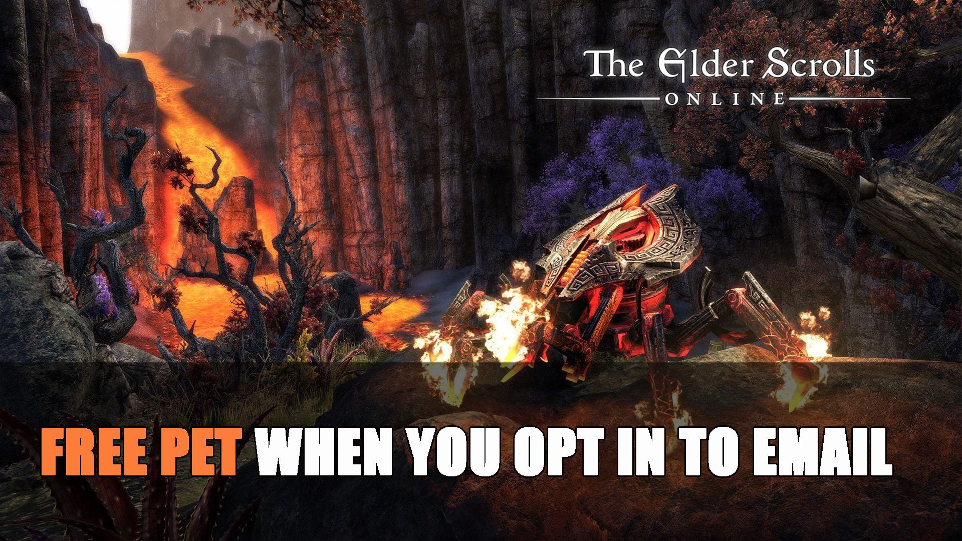ESO Free Pet When You Opt in to Email