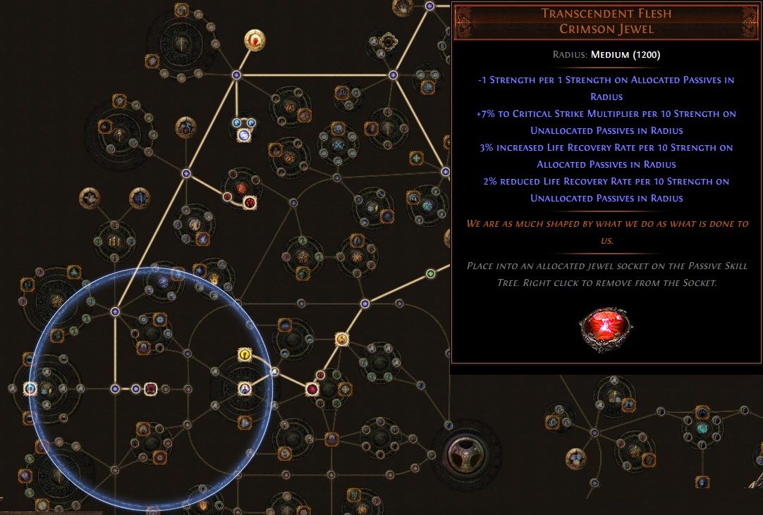 Infernal Cold Assassin   With Maximum Dodge! Path of Exile Build (Harvest League)