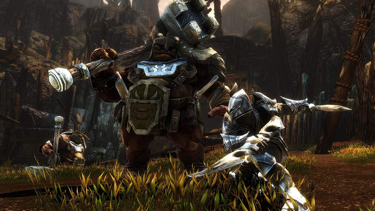 Kingdom of Amalur Re Reckoning 03
