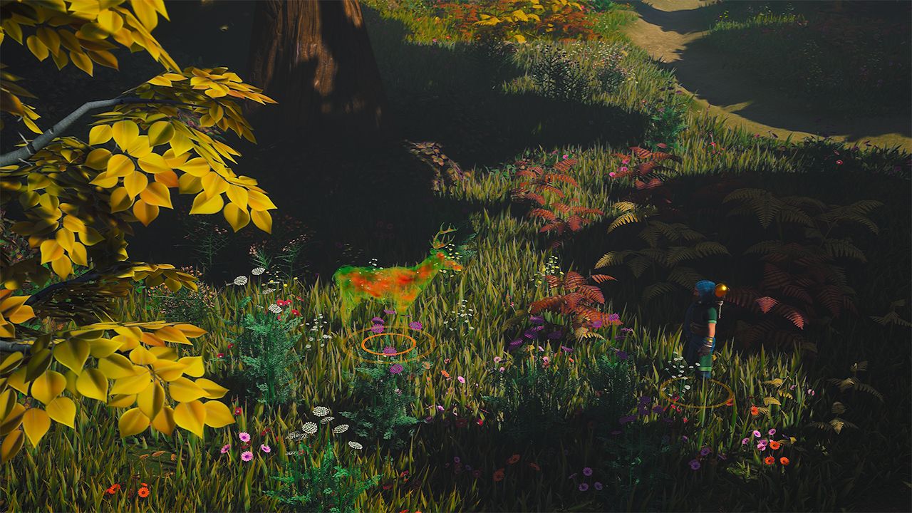The Waylanders Gets New Details About Animal Companions