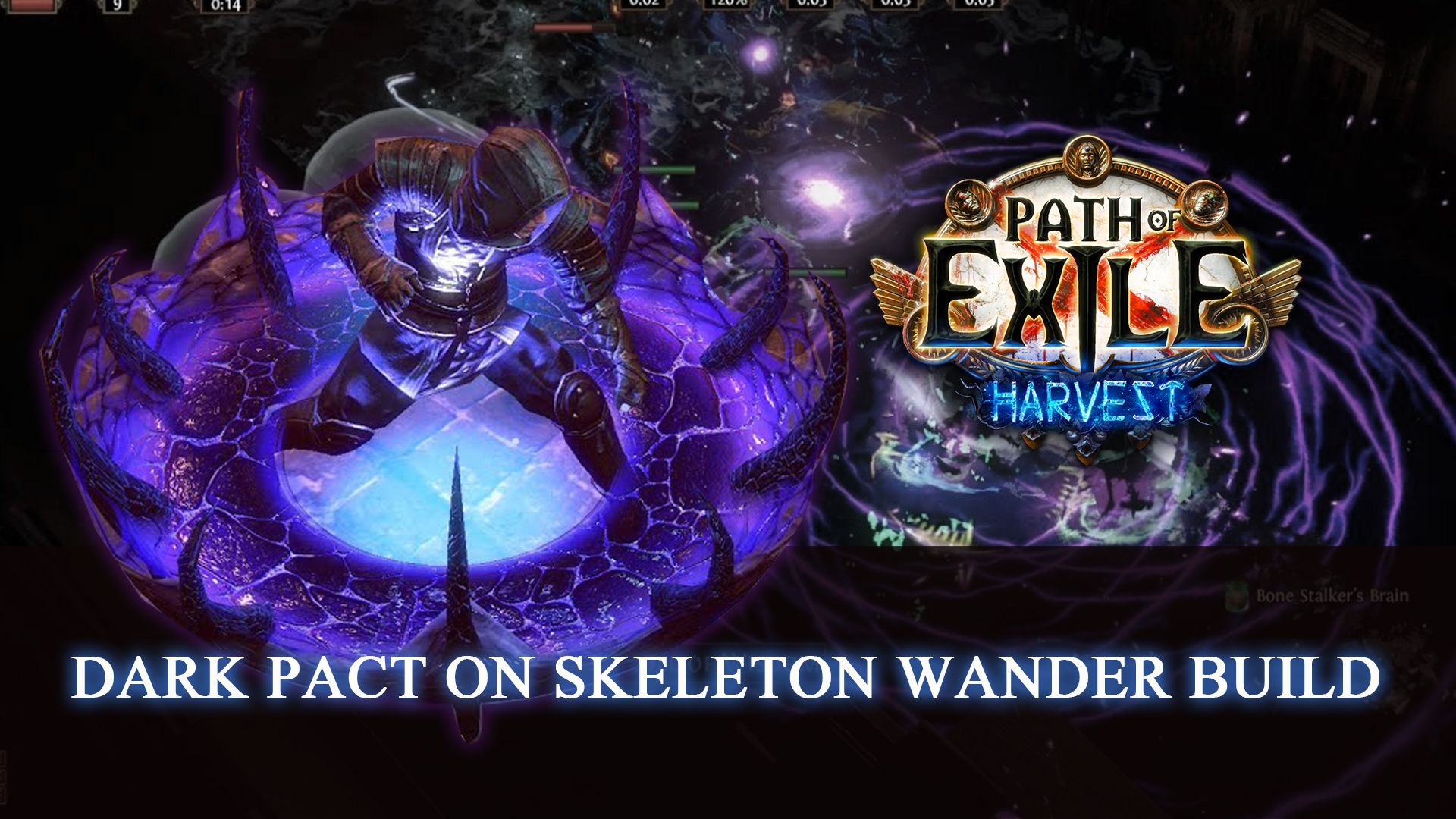 Path of Exile Dark Pact On Skeleton Wander build