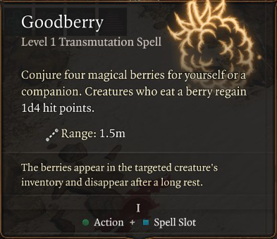 BG3-Goodberry