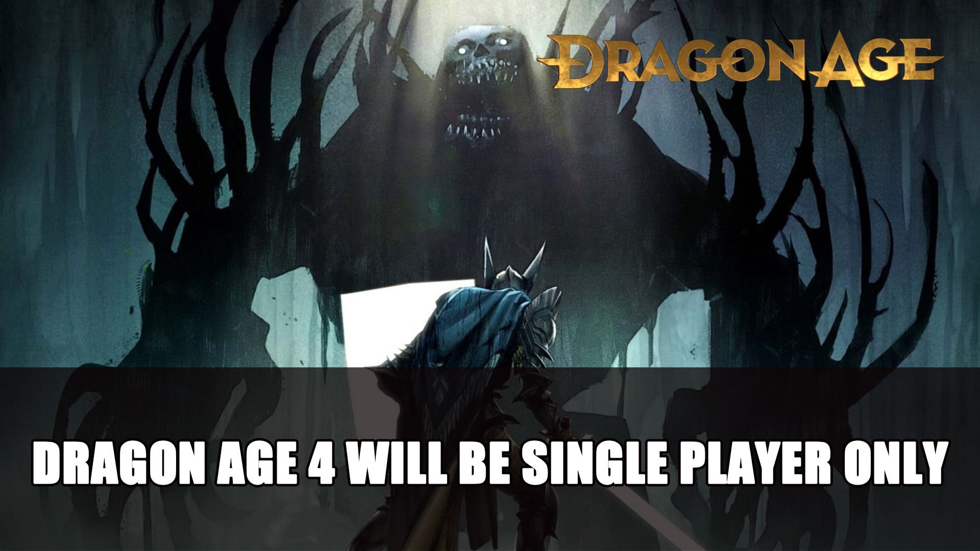 Dragon Age 4 will be Single Player Only