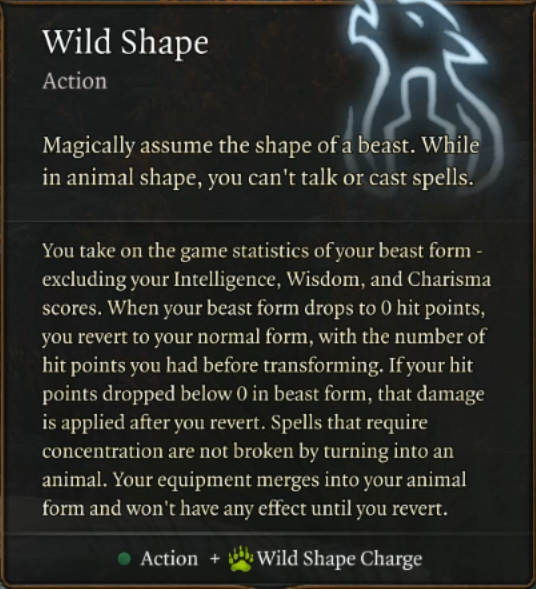 Baldur’s Gate 3 Builds: Druid Class Guide
