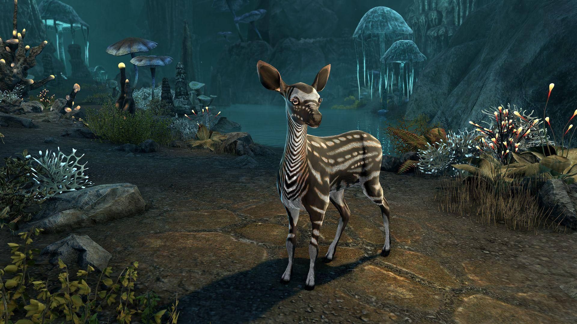 Elder Scrolls Online The Heroes Reforged Event   Free Pet &amp; Repecs