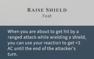 Solasta Raise Shield