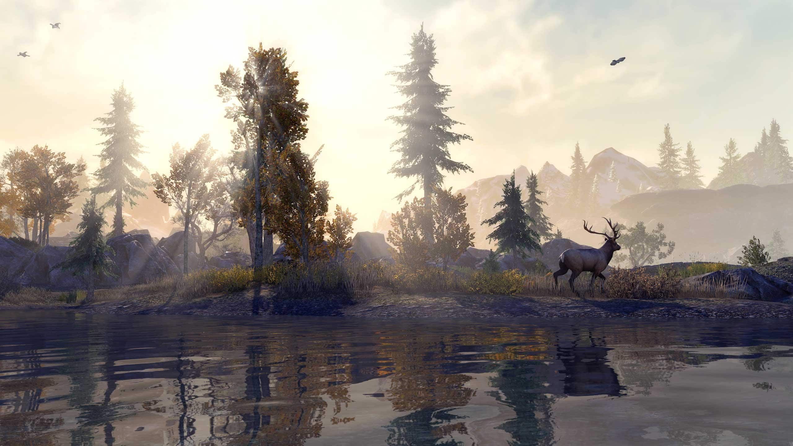 Elder Scrolls Online Console Enhanced Coming to PS5 &amp; Xbox Series X|S