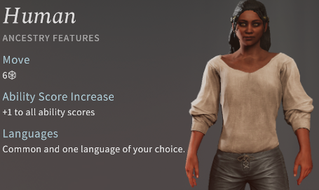Solasta Human Ranger