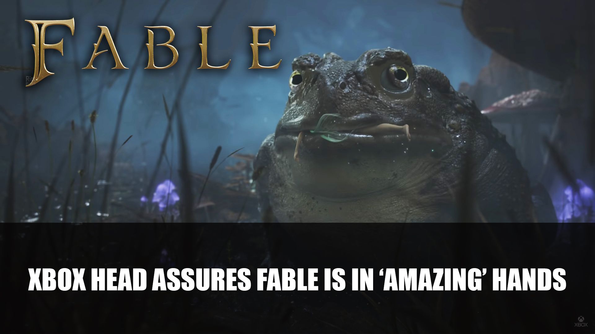 Xbox Head Assures Fable is in ‘Amazing’ Hands